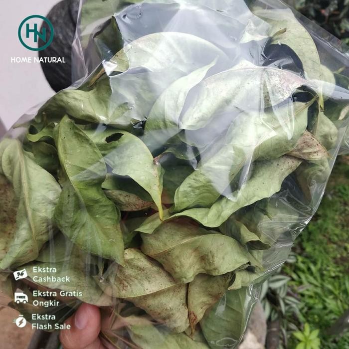 

Daun salam kering Hebal daun salam (500gram)