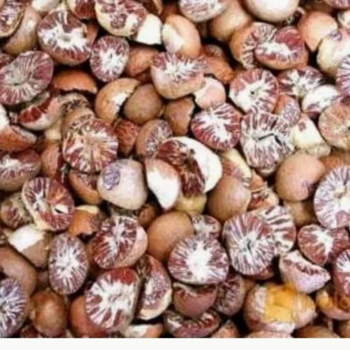 

Ready stok buah biji pinang tua kering per 250 gram