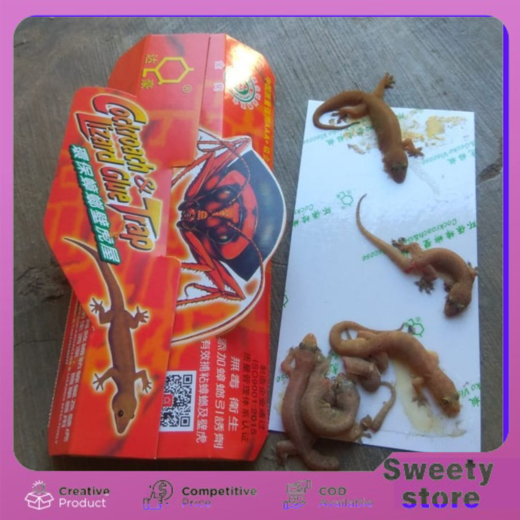 Lem Cicak Lem Kecoak Umpan Trap Serangga Pest Control Perangkap Cicak LEM PERANGKAP CICAK DAN KECOAK