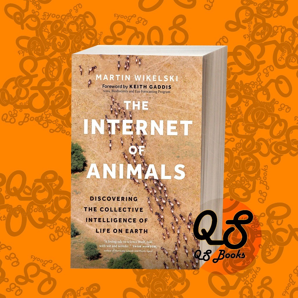 The Internet of Animals: discovering the collective intelligence of life on Earth