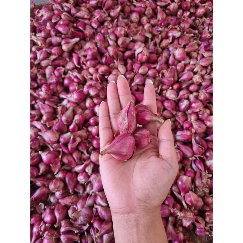 

Bawang Merah Organik Brebes Super 500gram