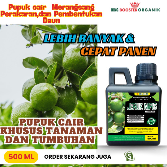 Pupuk Booster JERUK NIPIS 500ml Pupuk Cair JERUK NIPIS Pupuk Semprot Untuk Tanaman dan JERUK NIPIS P