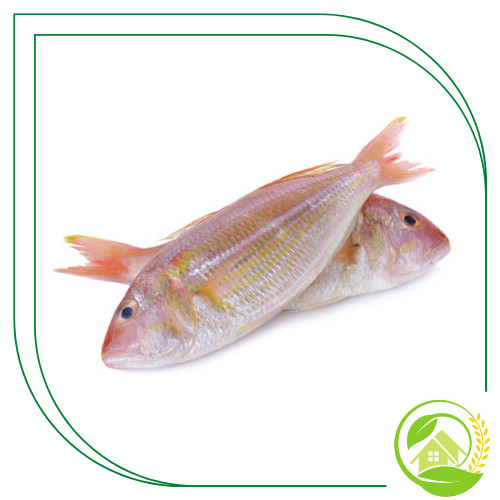 

Ikan Terisi Segar - 1Kg