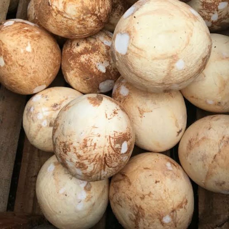 

Kelapa Parut Utuhan