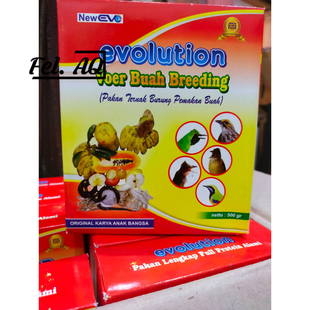 VOER EVOLUTION VOER EVO SHAMA BREEDING PAKAN TERNAK BURUNG PEMAKAN BUAH MURAH BERKUALITAS
