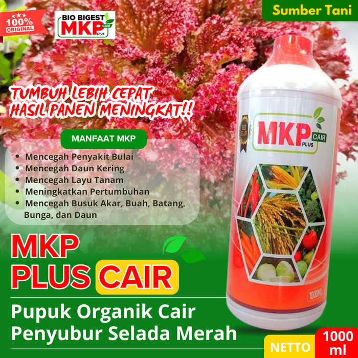 STAN Pupuk Organik Cair Sayuran Selada Merah Hidroponik Penyubur Terbaik