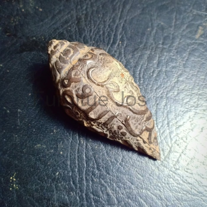 Keong Siput Kol Buntet Hitam Gelap Murah FJ34234