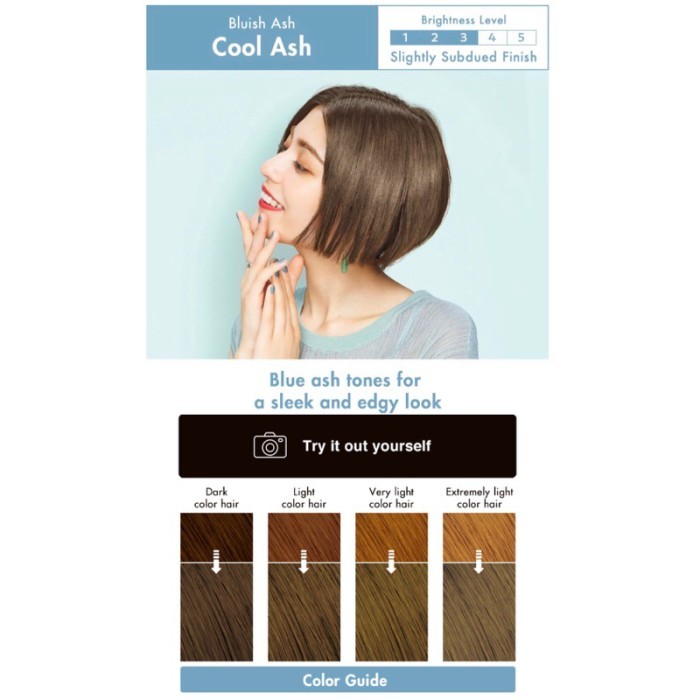 Liese Prettia bubble foam hair color Original Japan - Cool Ash