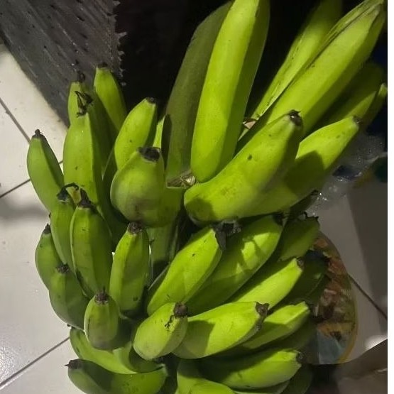 

Buah Pisang Mentah Erbe RB SL Merah Pisang Bangkaulu Fresh
