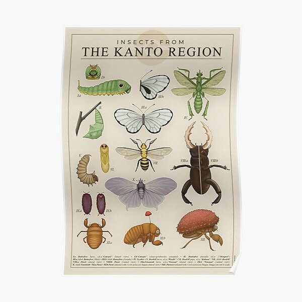 

Insects From The Kanto Region Poster Wall Home Art Mural Print Decor Painting Picture Room Modern Decoration Funny No Frame