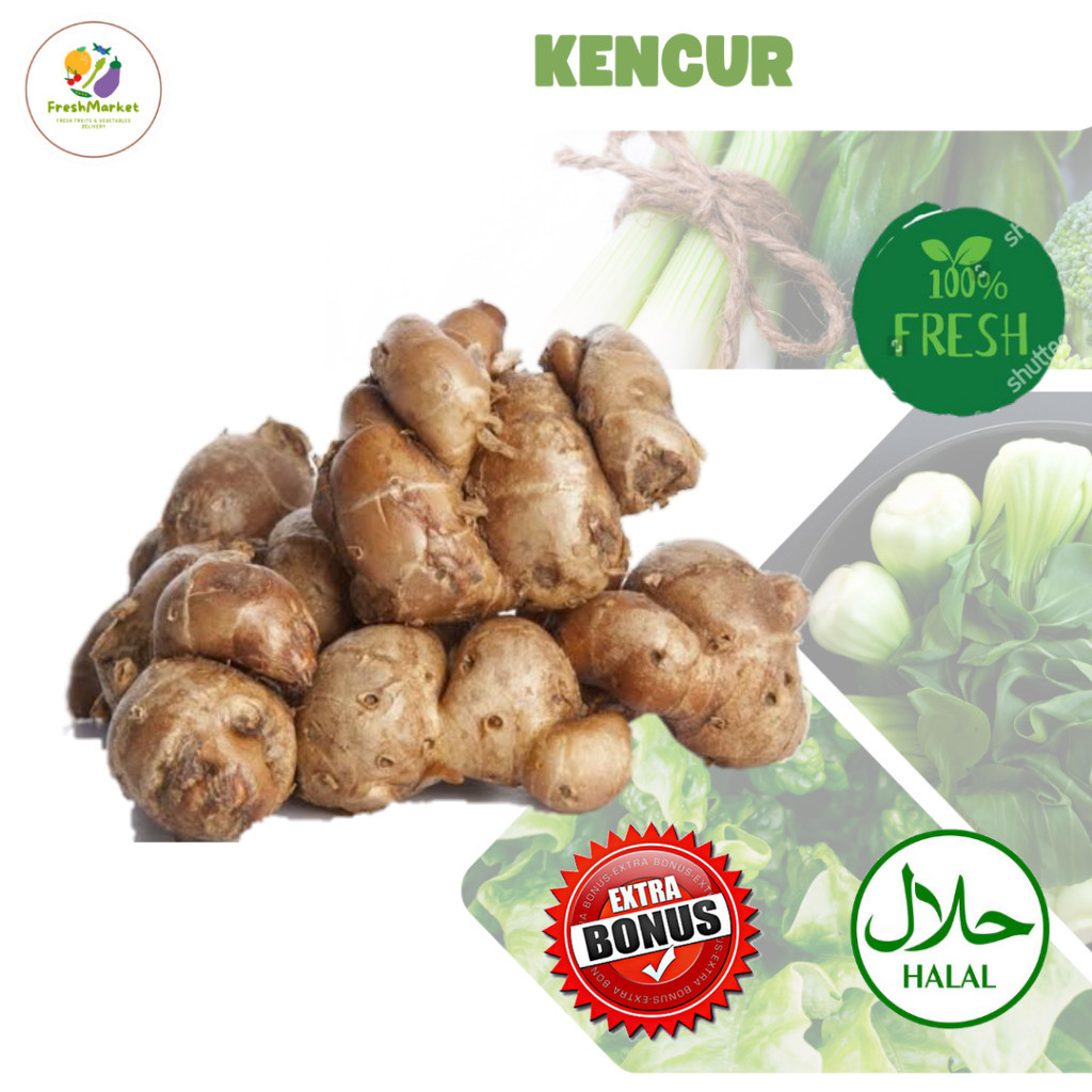 

Kencur Bumbu Dapur Rempah Segar Per 250 Gram Sayurinstant