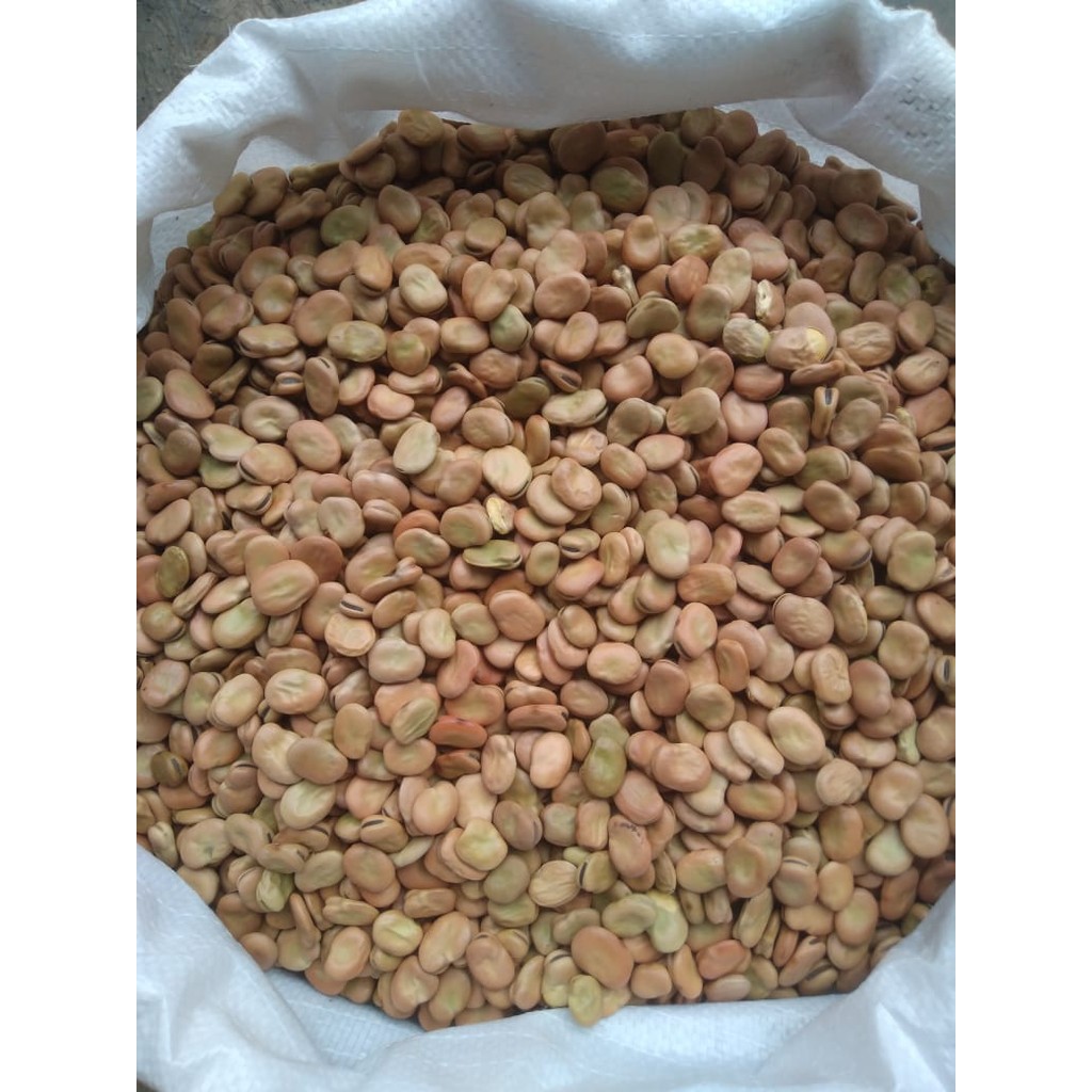 

FOUL MEDAMMES/KACANG FAVA BEANS 40KG