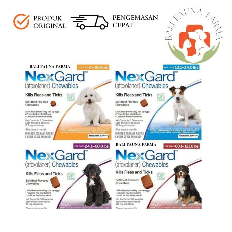NexGard Obat Kutu Anjing