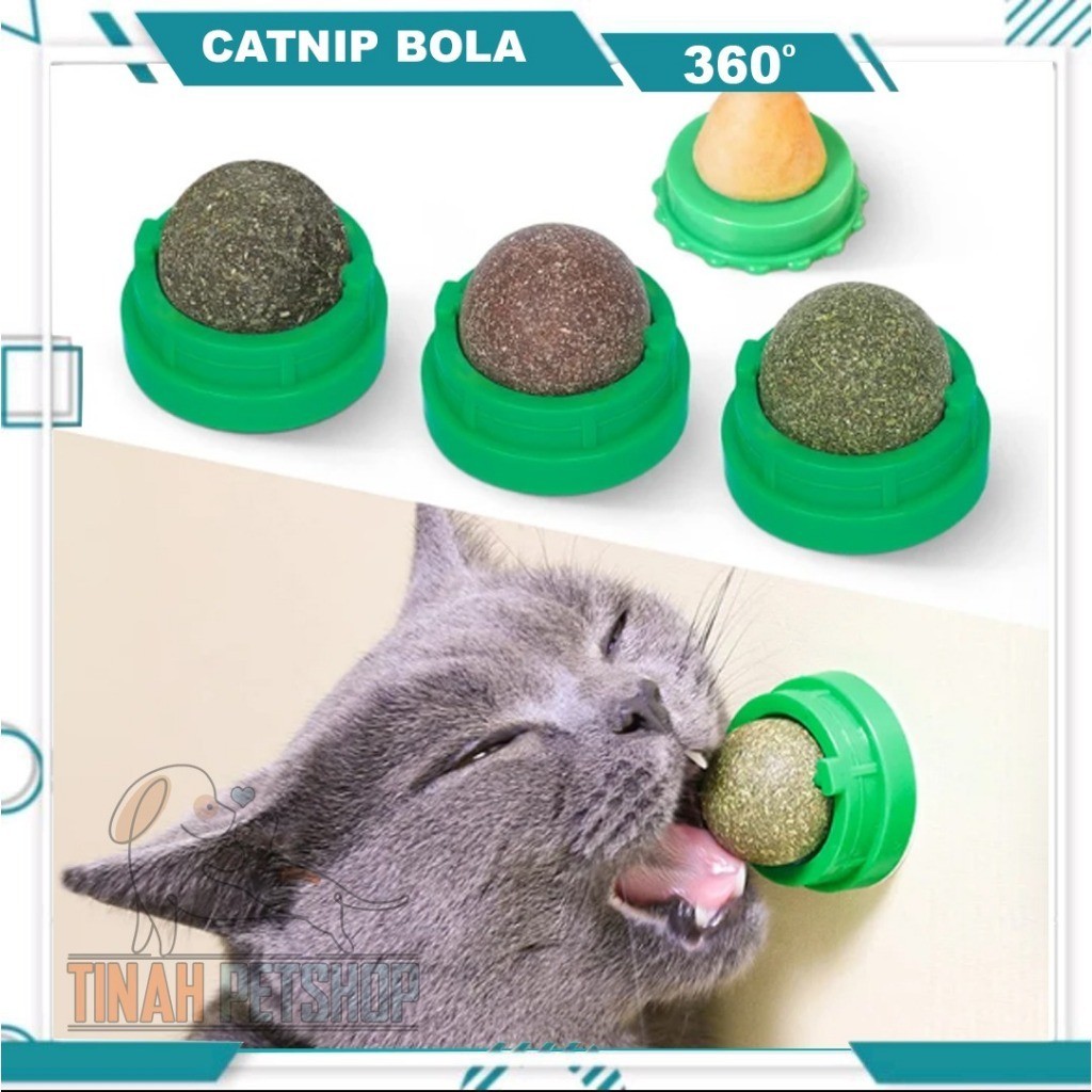 Catnip Bola Mainan Kucing Bola Catnip Rotating Catnip Ball Catnip Kucing Anti Stress Catnip Ball Bol