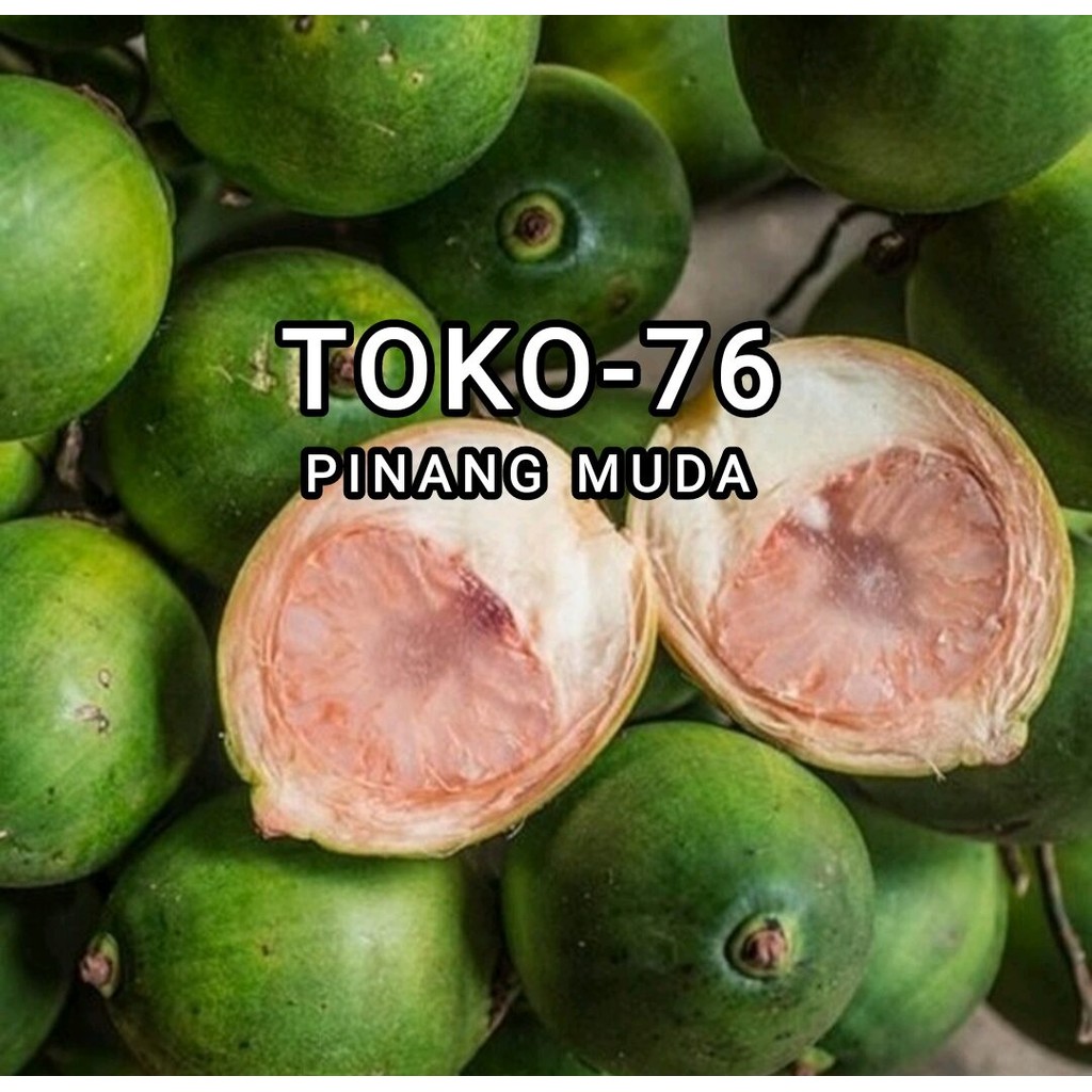 

BUAH PINANG MUDA OBAT HERBAL 1 KG - BUAH JAMBE