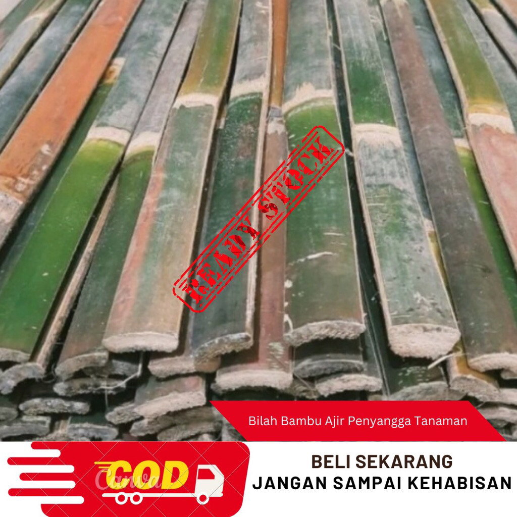 

Suryaman_Jaya Turus bambu ukuran 100cm/Turus Bambu Ajar bisa untuk tanaman