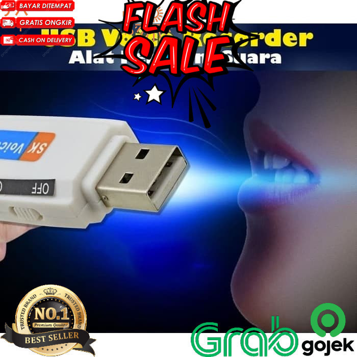 Spy Flashdisk Recorder Suara DD
