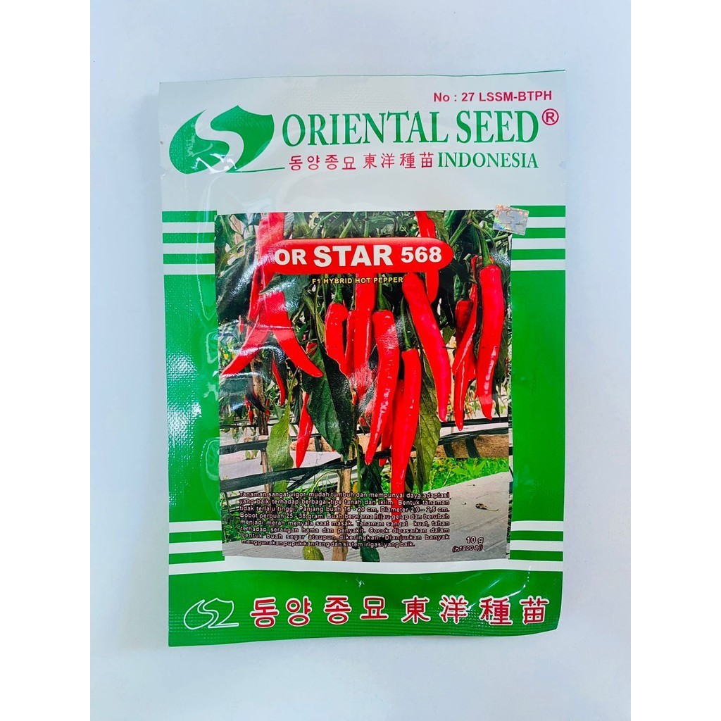 Benih cabai besar hibrida OR STAR 568 F1 isi 10gram dari ORIENTAL SEED