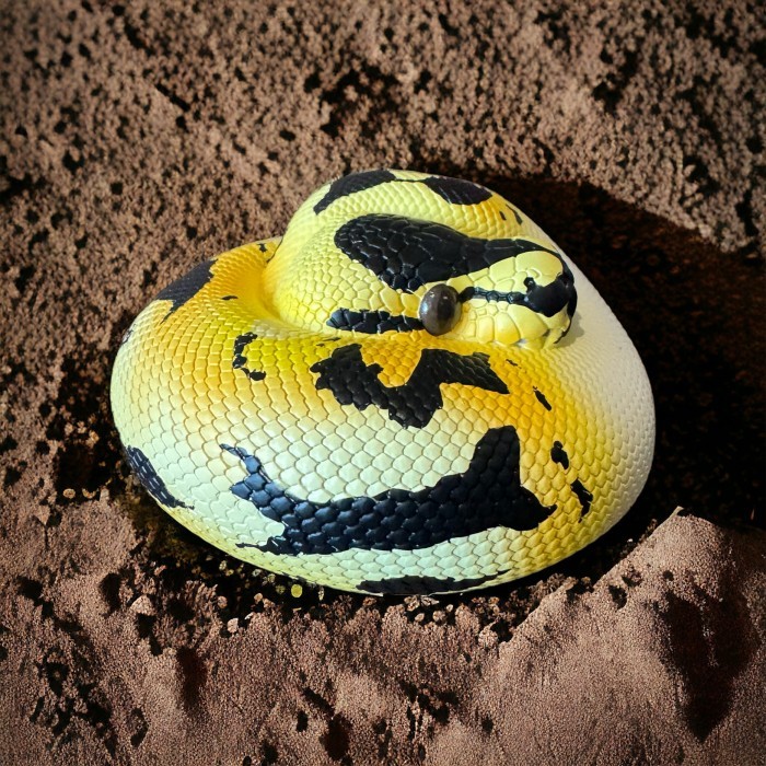 Ball Python PIEBALD - Python Regius Resin Animal Heavenly Body