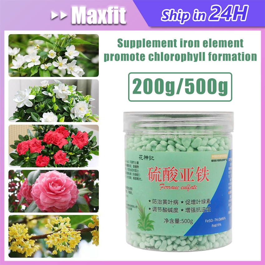 Ferrous Sulfate Ferrous Sulphate Ferro Sulfate Pupuk Aneka Bunga FeSO4 200g 500g Untuk Semua Tanaman