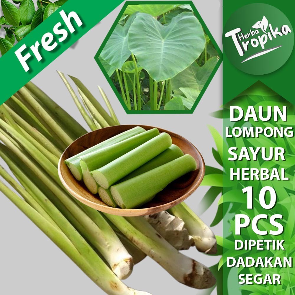 

Batang Daun Lompong Sayur Segar 10 Pcs diambil dadakan toko herba tropika