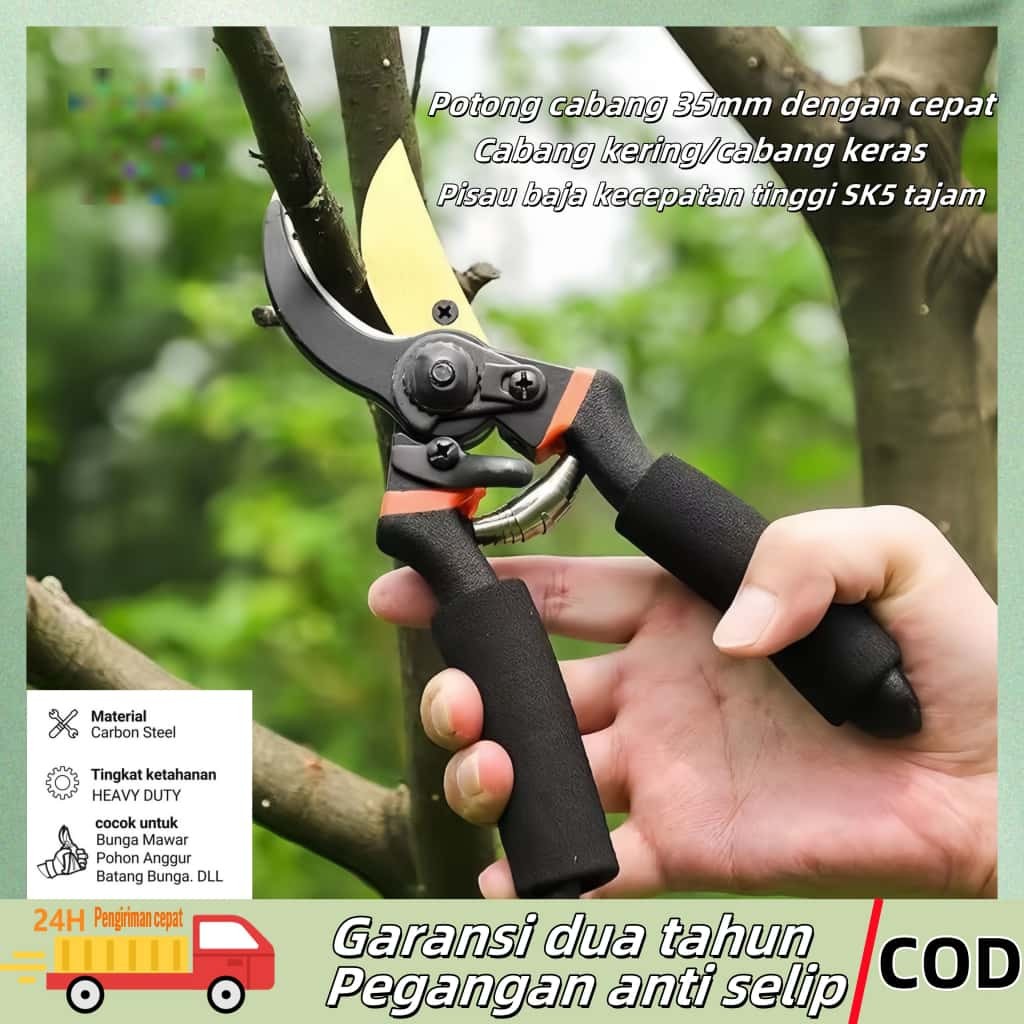 

Gunting Tanaman / Gunting Tanaman / Gunting Pemangkasan Pohon Bahan SK5 / Gunting Berkebun Taman