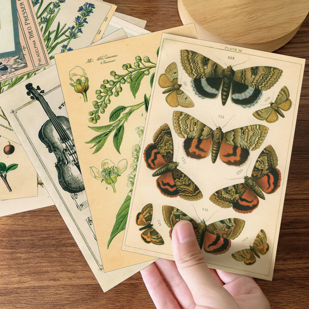 

30PCS,Retro Wall Collage Kit Aesthetic Picures,Forest Animals Plants Specimen Postcard,Creative Wall Decoration For Teen Girls