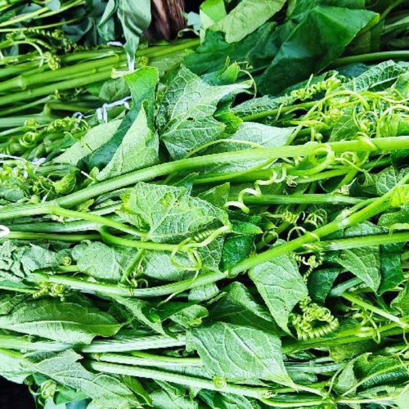 

Daun pucuk labu siam 500g Herbal COD