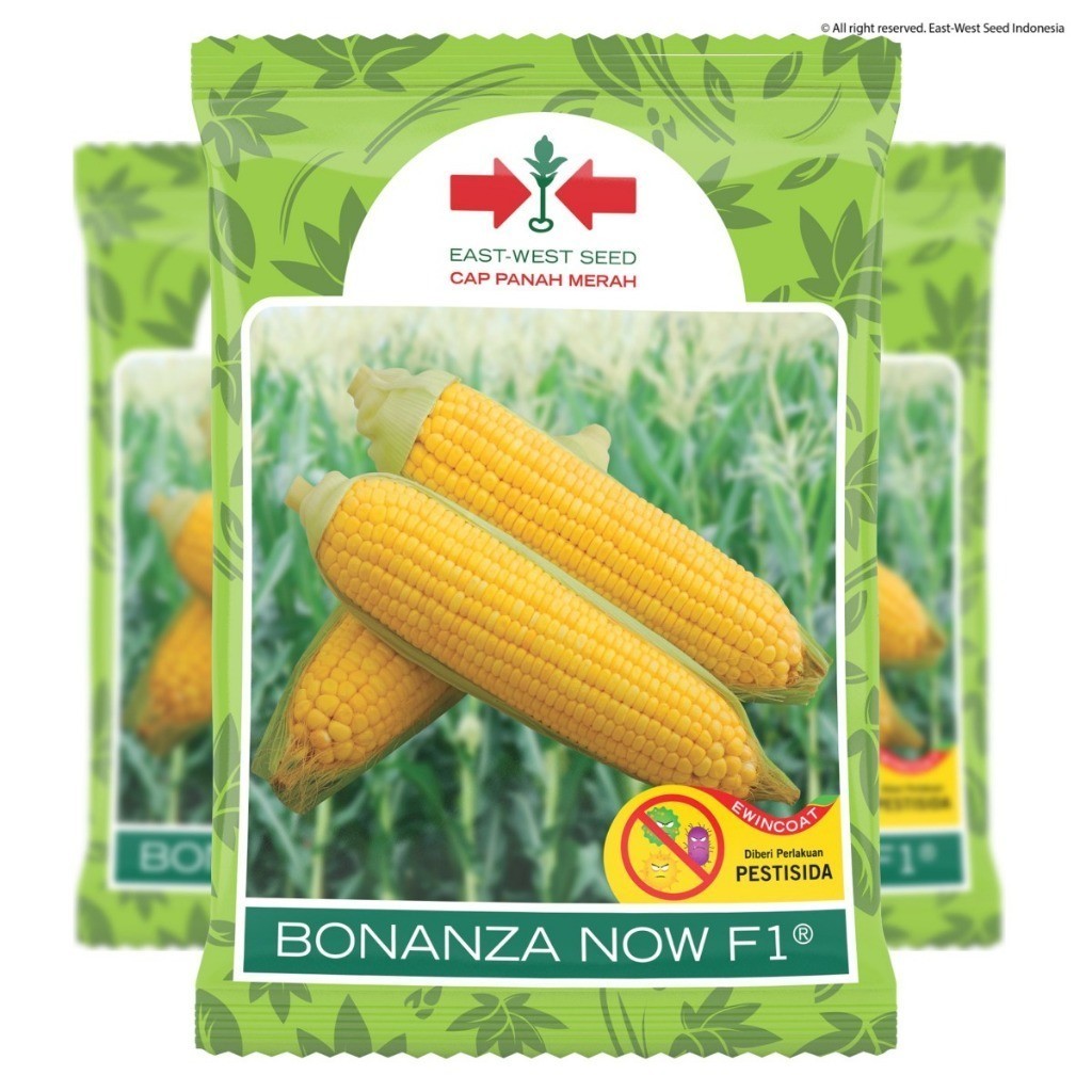 

PROMO !!! Bibit jagung BONANZA NOW F1 isi 1800 butir cap panah merah
