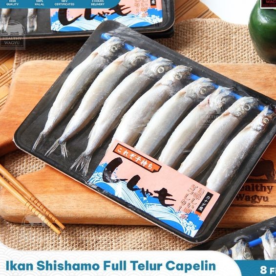 

Ikan Sishamo