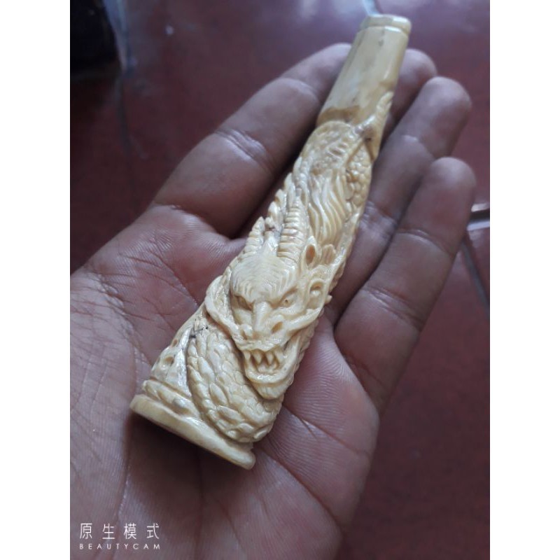 PIPA ONCE AKAR BAHAR PUTIH NATURAL UKIR NAGA