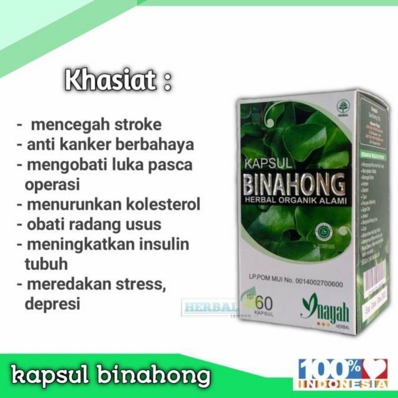 Suplemen Kesehatan Kapsul Daun Binahong inayah isi 60kapsul ori By Pusat Import.Id