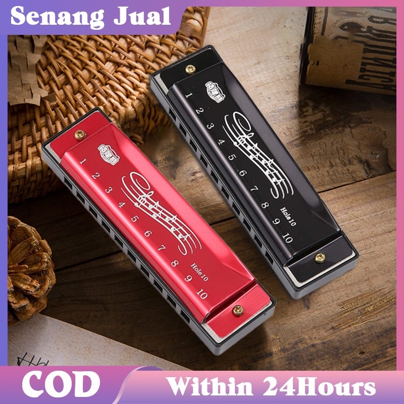 Harmonika Chromatic 10 Hole Harmonika Kromatik Harmonica Dengan Kotak
