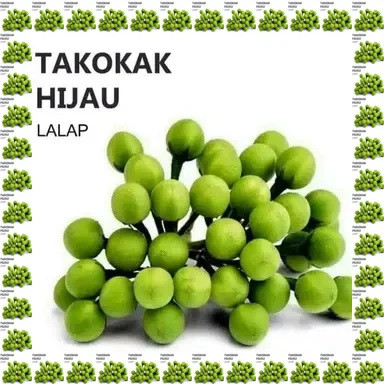 

Rimbang takokak pokak 500 gram Sayur Sayuran Segar Fresh Tiap Hari / Kualitas Bagus