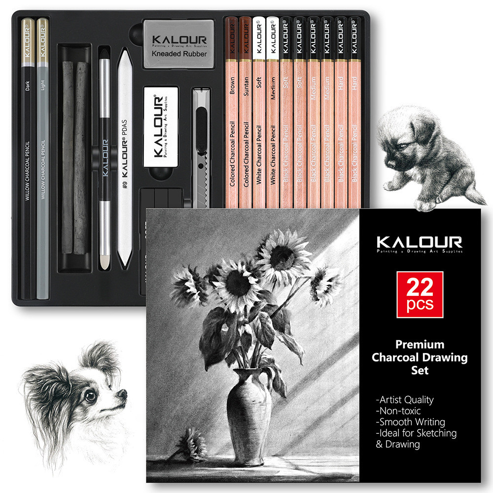 

Set Alat Sketsa 22 Pcs – Pensil Arang & Arang Willow Untuk Seni Lukis