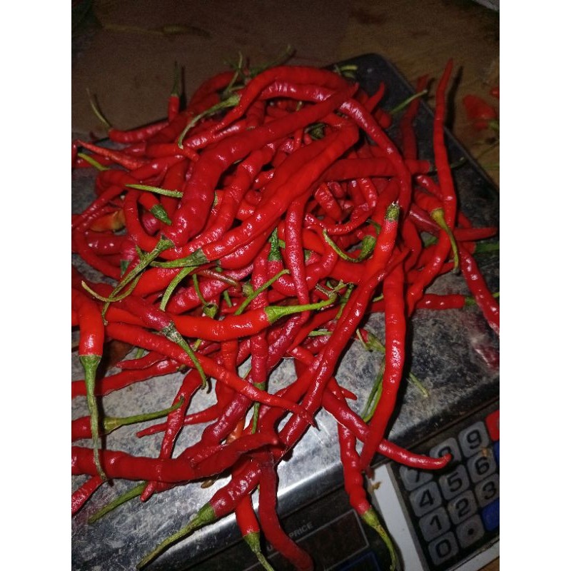 cabe merah kriting 1kg