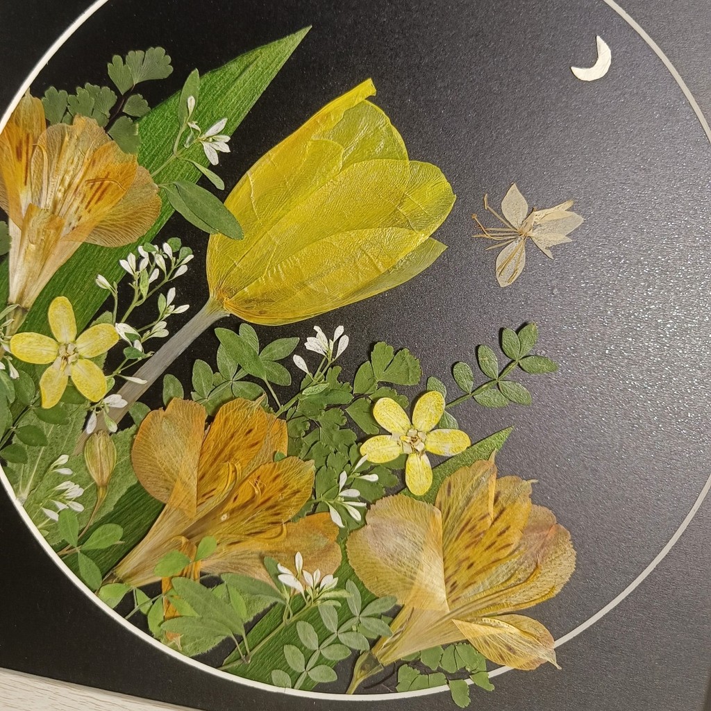 

0058 Tulip Pressed Flower Art Black Circular Background Yellow Flowers Green Leaves Natural Design Handmade Decorative Painting