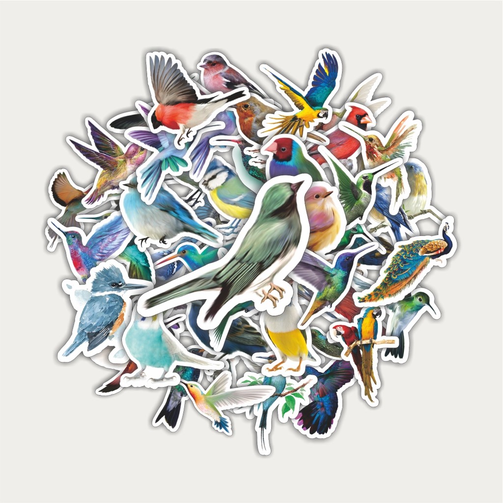 

Sticker Pack Stiker Colorful Birds Series [Seri Burung Berwarna-warni] | Sticker TUMBLR | Stiker LAPTOP KOPER HELM