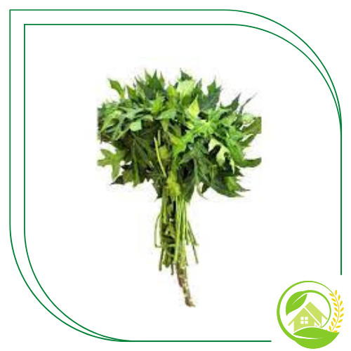 

Daun Pepaya Segar - 1 Ikat