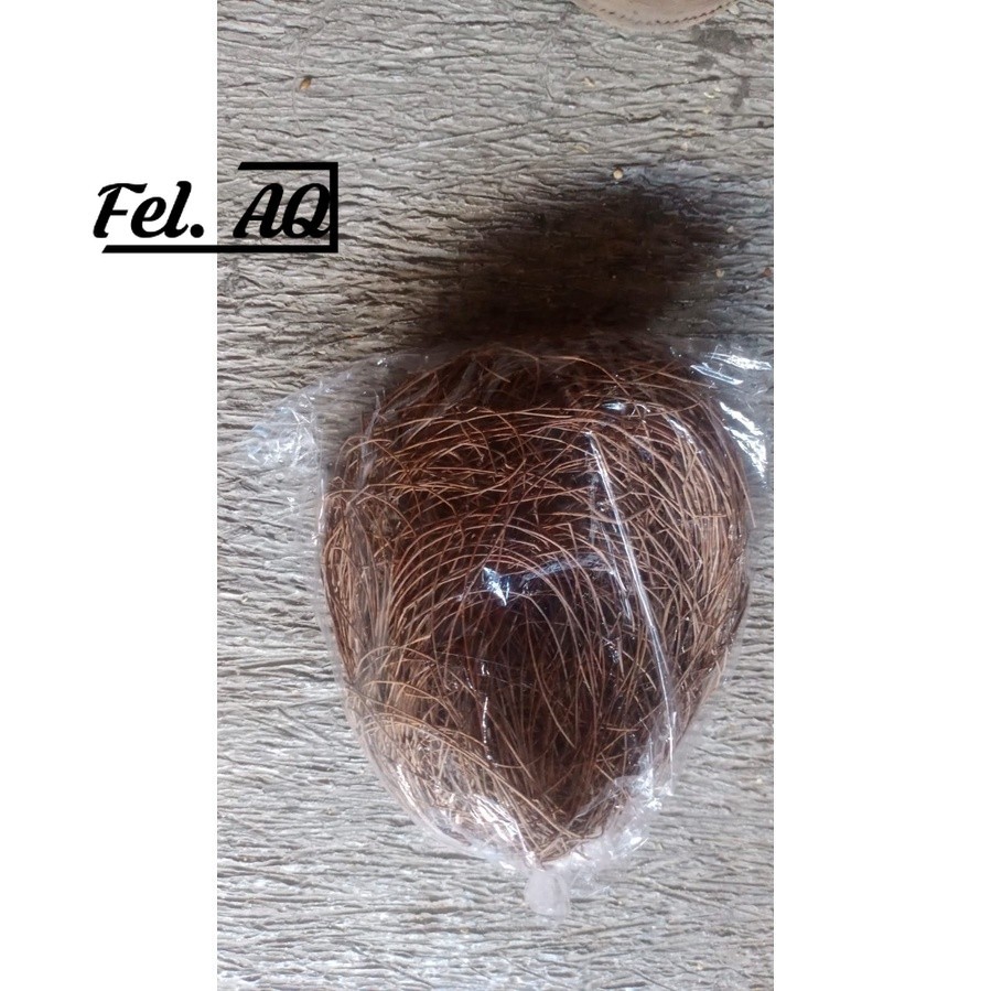 CEMARA SARANG UNTUK BURUNG MURAI BATU KACER ANIS DAN BURUNG LAINNYA MURAH BERKUALITAS