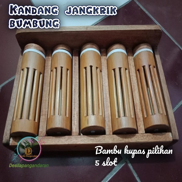 kandang jangkrik aduan bumbung bambu bulat 5 slot - bumbung jangkrik