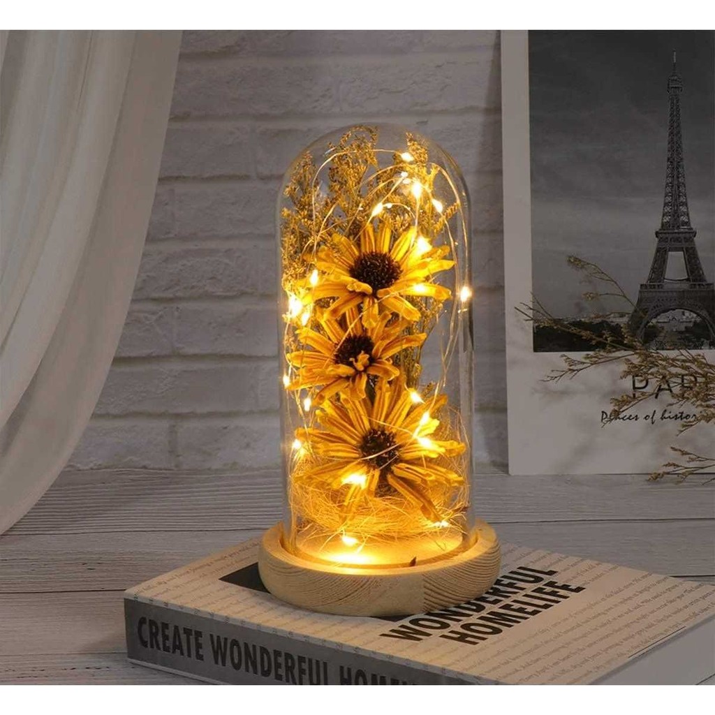 

TaffHOME Lampu LED Bunga Matahari Dekorasi Sunflower Glass Dome - TH-88 Murah, Berkualitas dan Bergaransi