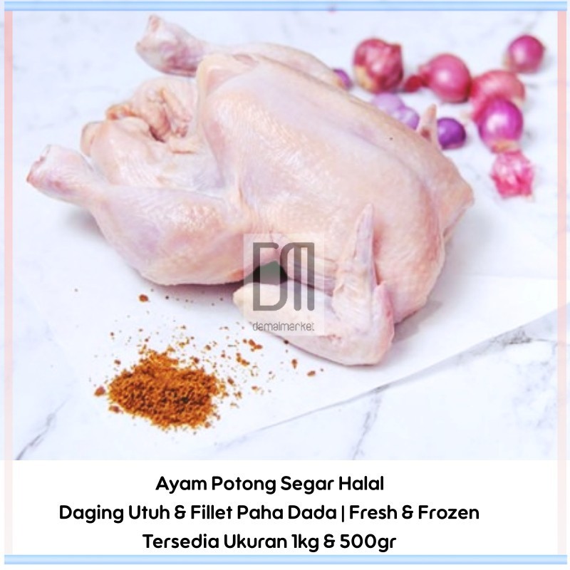 

Ayam Potong Halal Segar 1kg & 500gr Daging Utuh Fillet Dada Paha Fresh Frozen Murah Kualitas Terbaik