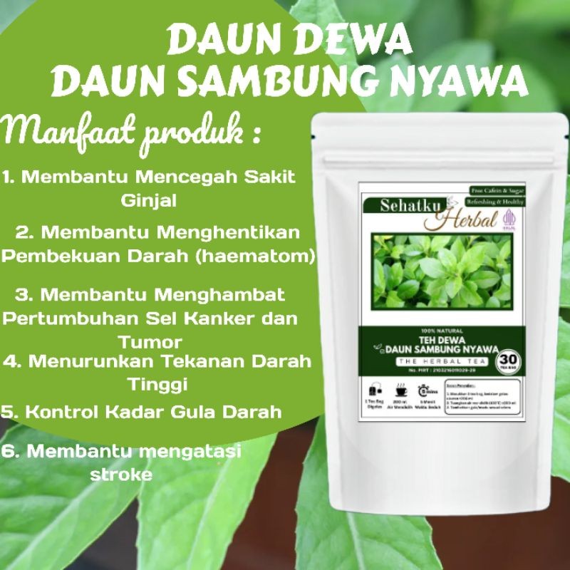 

SEHATKUHERBAL Teh Dewa/Teh Daun Sambung Nyawa : Teh Darah tinggi Jantung dan kolesterol isi 30 tea bag