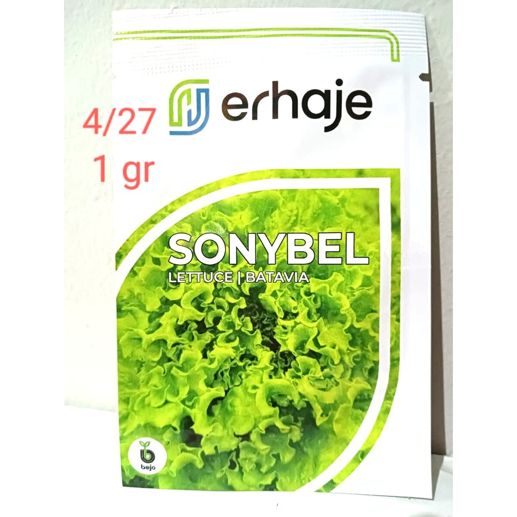Selada Sonybel Bejo Seed 1 gram