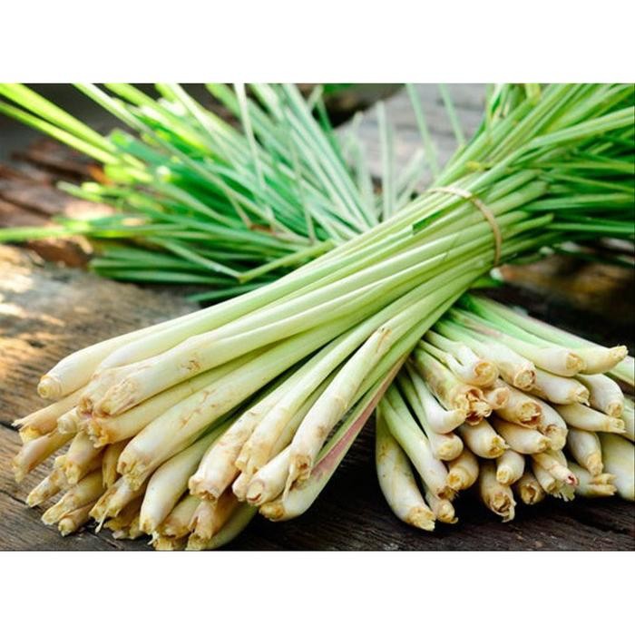 

ready stok sereh putih atau serei segar sayuran penyedap rasa 500gram