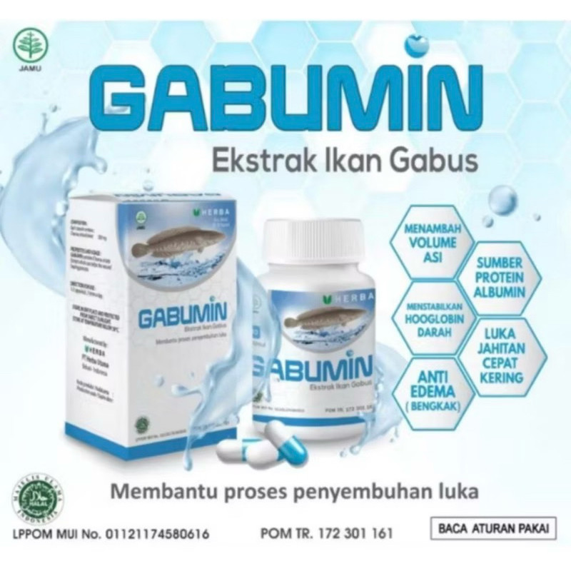 Gabumin herba kapsul ekstrak ikan gabus