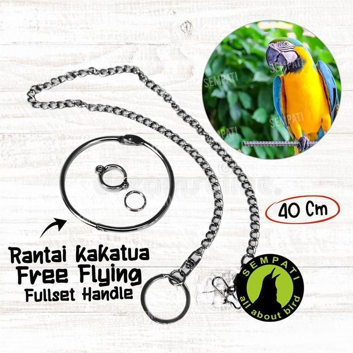 SEMPATI Rantai Free Flying 12 Mm Borgol Ring Import Rantai Umbaran Latih Kaki Burung Kakatua Cockato
