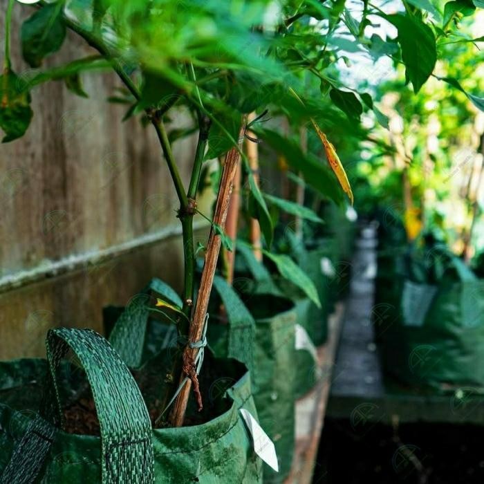 Planter bag 15 liter HDPE