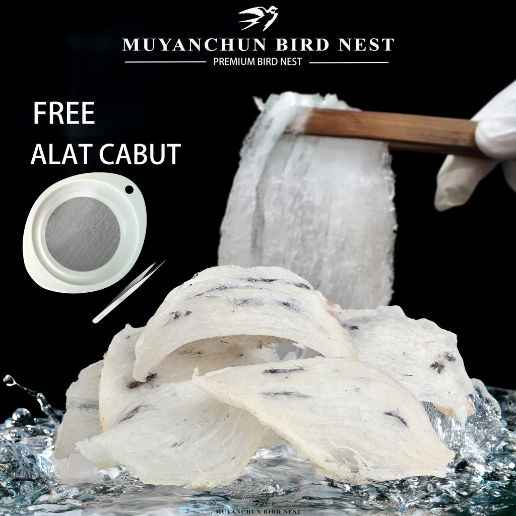 

Sarang Burung Walet SUDUT Kotor Asli Kalimantan Harga Murah Original per Gram